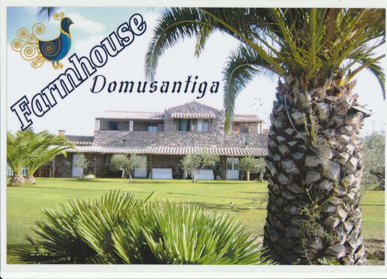 Domus Antiga Appartamenti San Giovanni Suergiu Ngoại thất bức ảnh